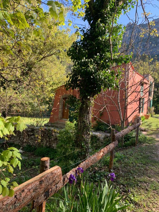 Bergerie de charme à Moustiers Vila Exterior foto